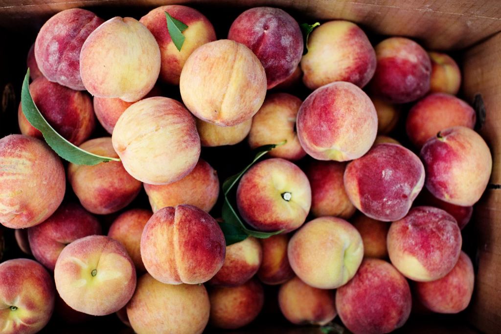 The Peach Truck making its summer return to Northern Kentucky LINK nky
