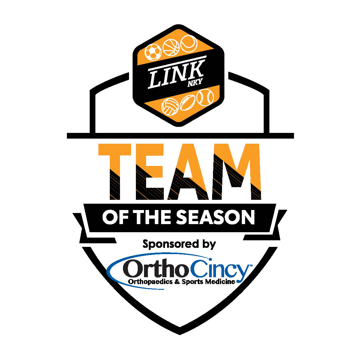 The LINK nky Team of the spring sports season: Campbell County softball