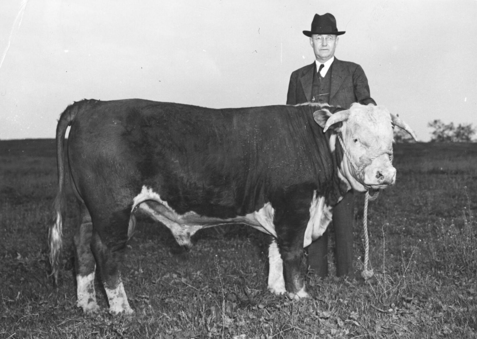 Free tuition for older Kentuckians is in peril