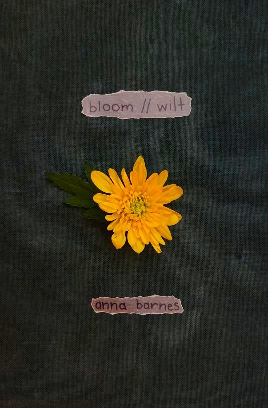 Press release: “bloom // wilt” by Anna Barnes is out now!
