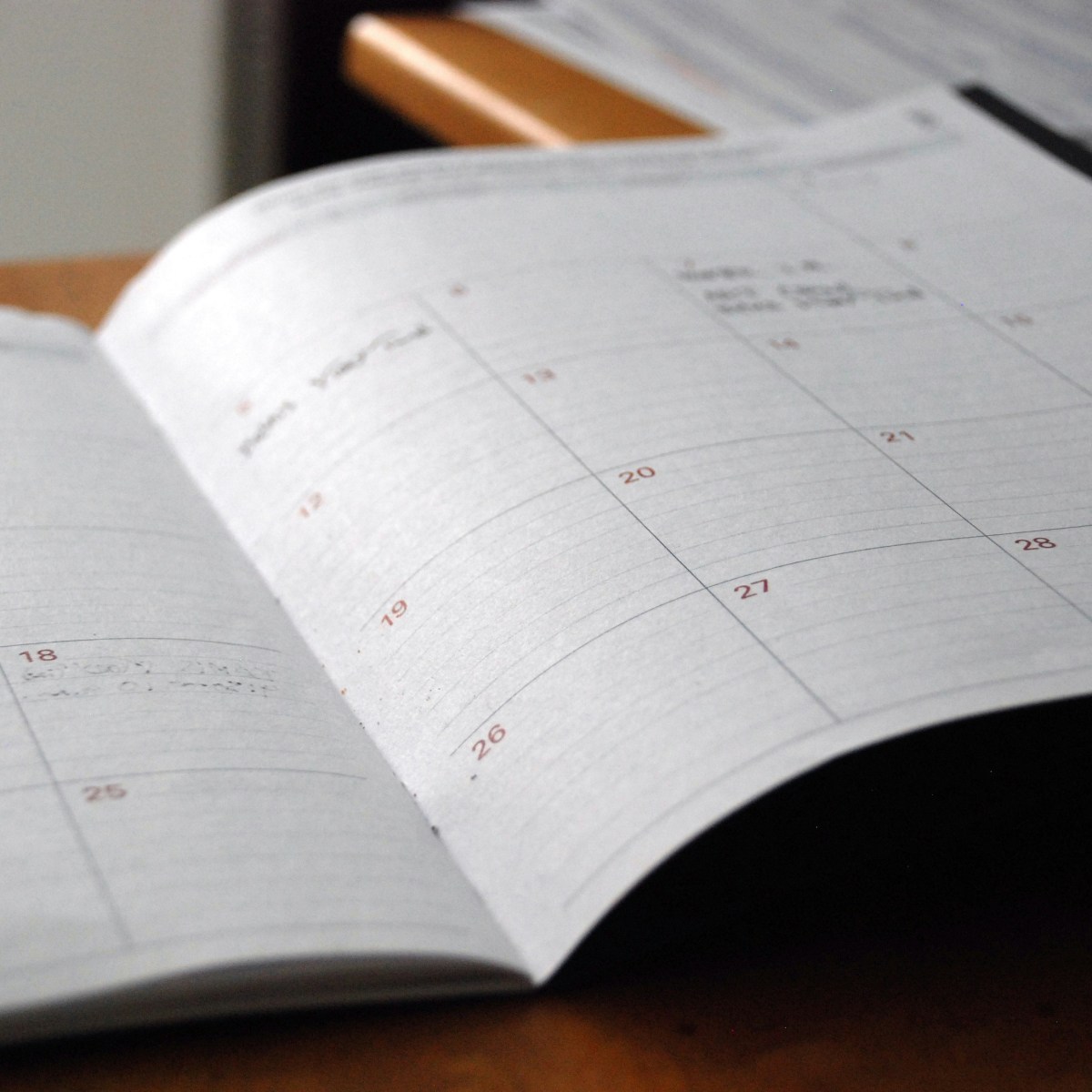 Every day this week is a palindrome