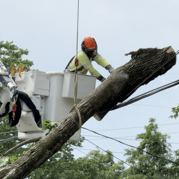 Weather Service confirms two tornadoes struck Boone, Kenton Counties