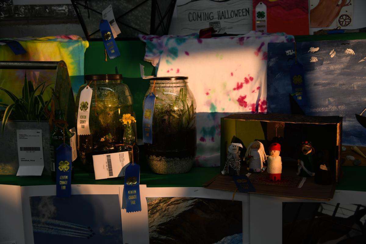 Photos Kenton County Fair LINK nky